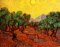 Vincent van Gogh-Olive Trees with Yellow Sky and Sun